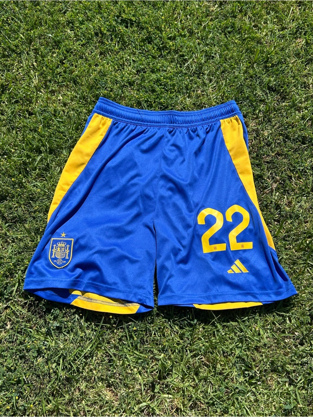 24/25 Spain Home Fan Version Shorts (Medium) (#22)